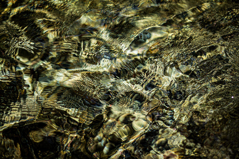 Close-up abstract photograph of amber light reflecting across rippling water, creating organic patterns that resemble skin or stone.