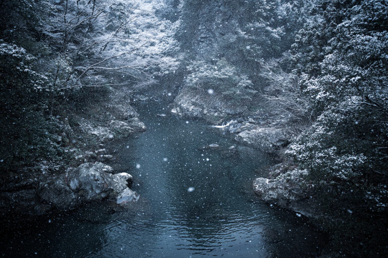 Where Water Learns Silence
