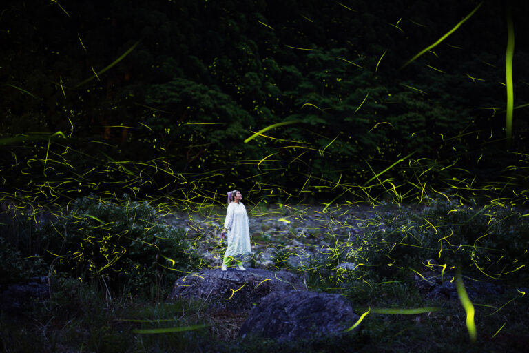 When the Forest Began to Breathe　-In Fireflies-