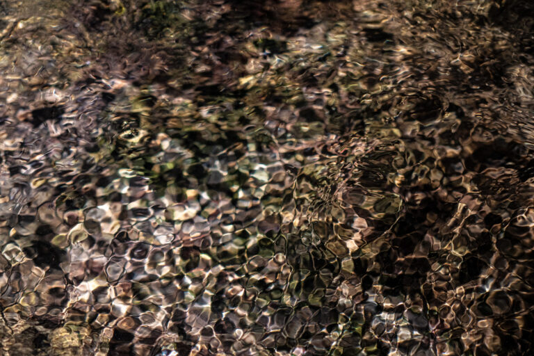 Sunlight refracts across shallow flowing water, creating intricate cellular patterns over stones beneath the surface. Warm bronze and muted green tones give the scene an organic, almost living texture.