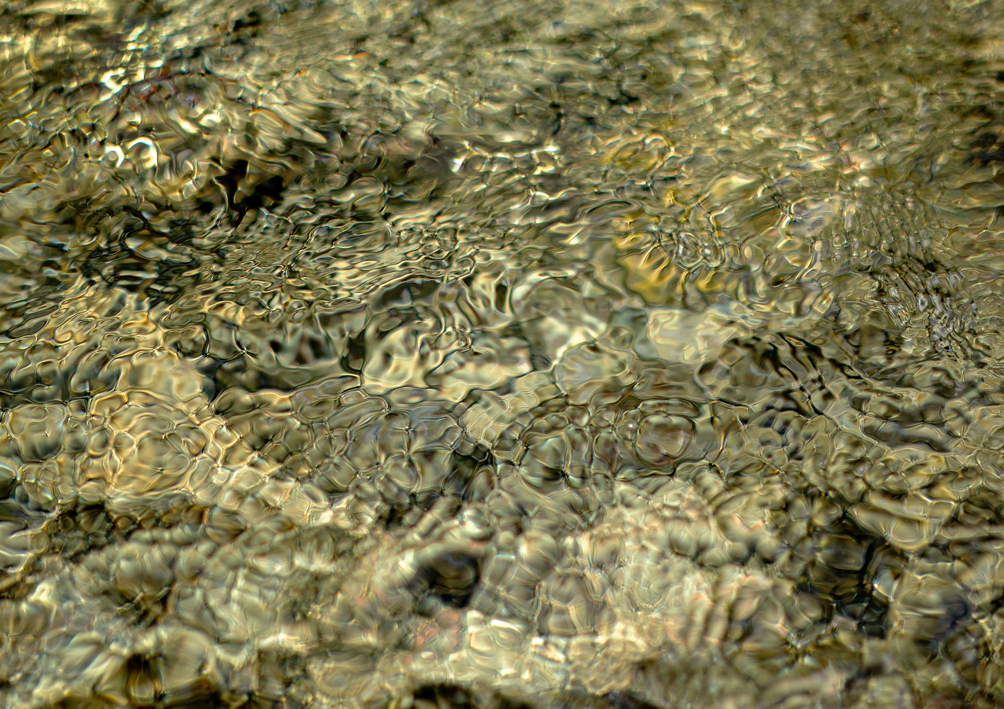 Close-up photograph of clear river water flowing over rounded stones, where shimmering reflections transform the surface into an intricate abstract pattern of gold, olive, and silver tones.
