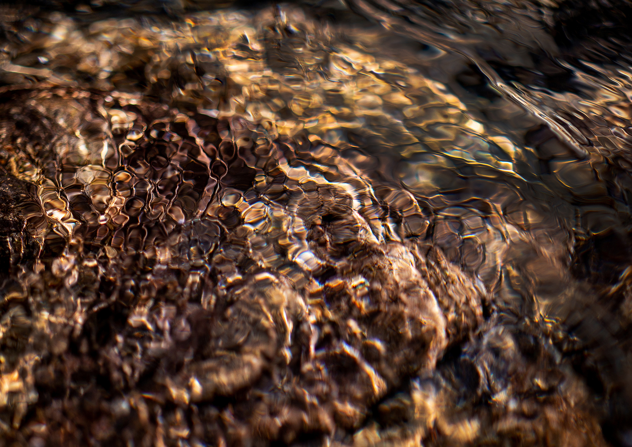 Golden light rippling across submerged rocks, where flowing water transforms the riverbed into an abstract organic pattern of reflections and shifting textures.