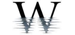 Waterface Journal